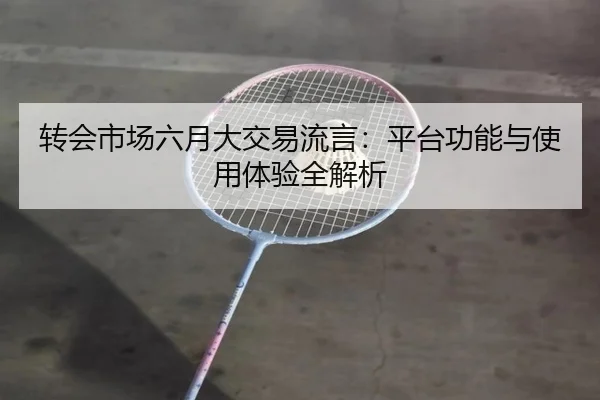 转会市场六月大交易流言：平台功能与使用体验全解析