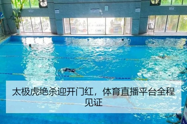 太极虎绝杀迎开门红，体育直播平台全程见证